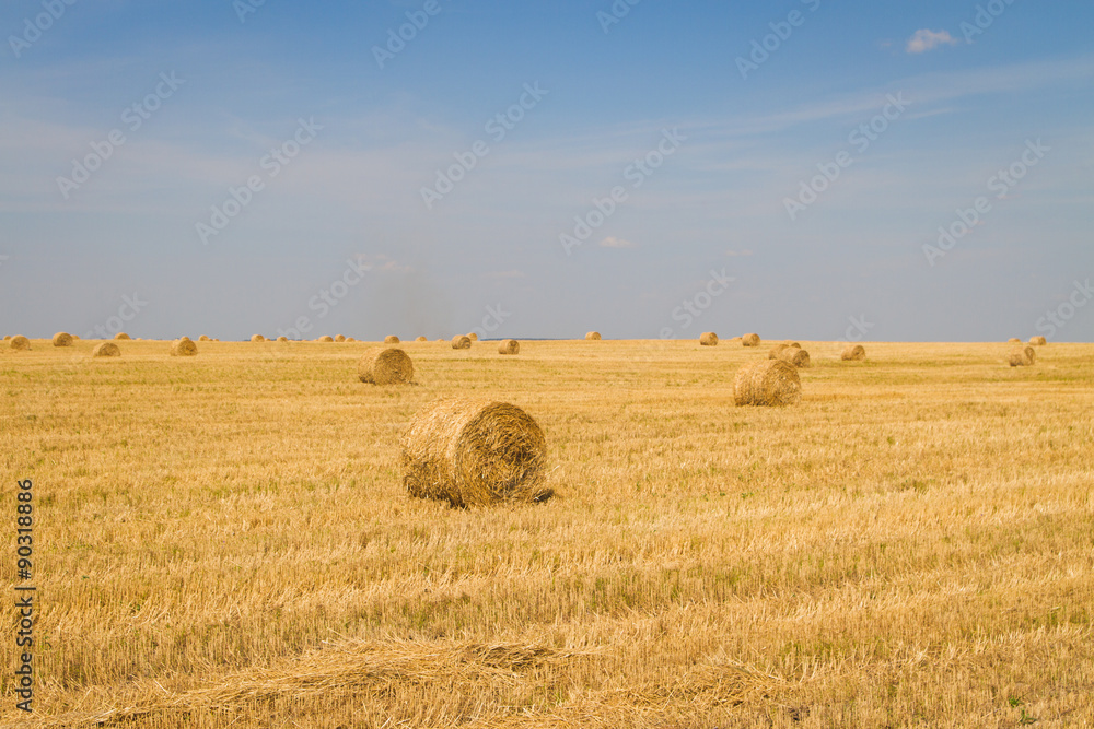 sheaf of hay on the field