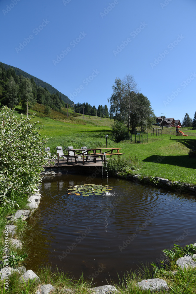 Fototapeta premium laghetto in giardino stagno