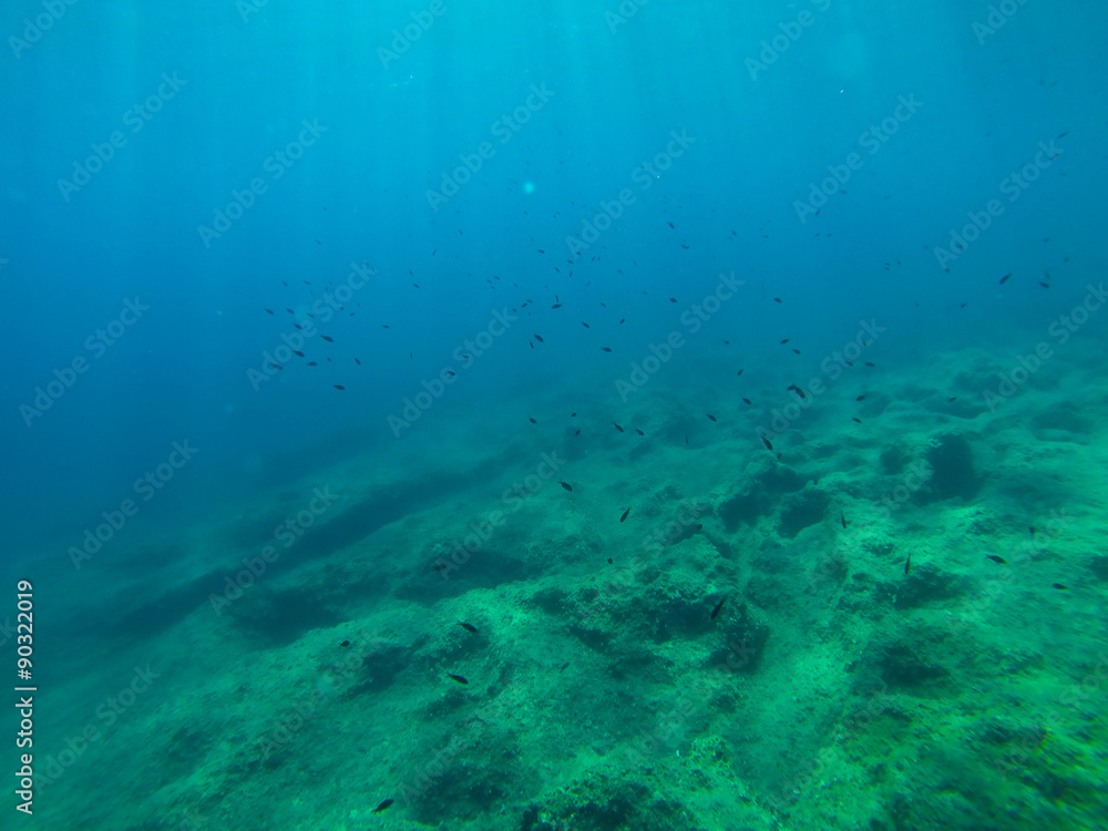 snorkerilng in the seas of Sicily snorkerilng in the seas of Sicily
