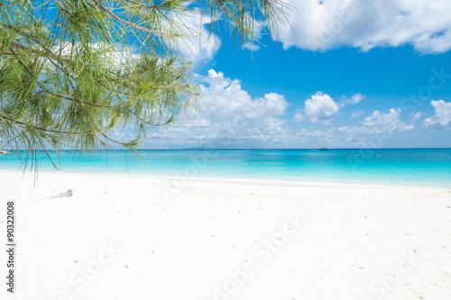 blue sky with beach sea and leaf © topntp
