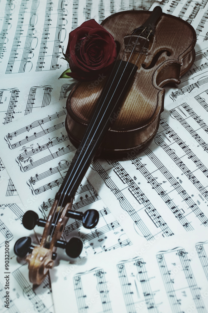 Fototapeta premium old violin with musical notes and rose