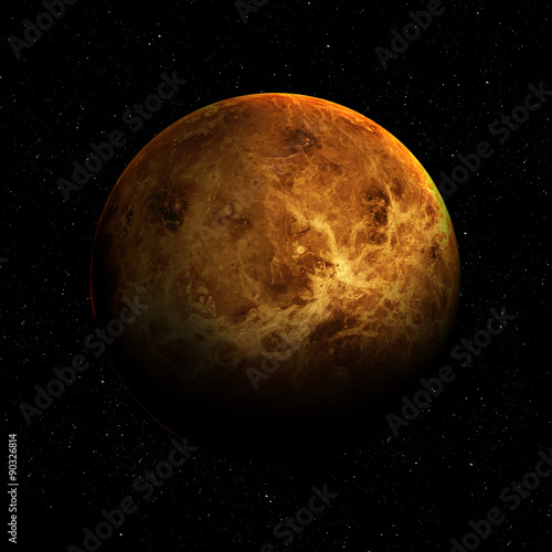 Fototapeta Naklejka Na Ścianę i Meble -  Hight quality Venus image