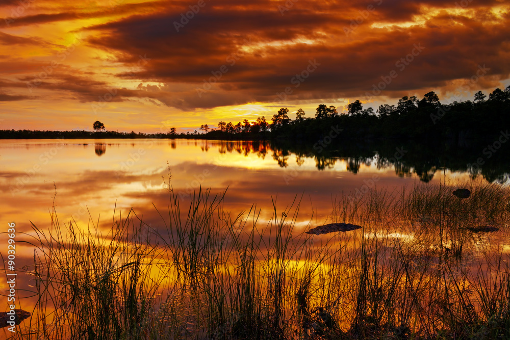 Obraz premium Sunset Pine Glades Lake 3. Everglades National park, Florida
