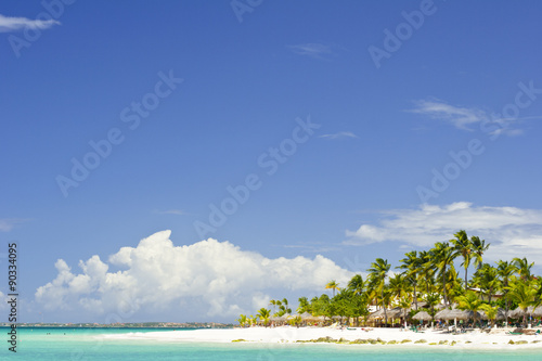 Fototapeta Naklejka Na Ścianę i Meble -  A beach in Aruba with Palm Trees.