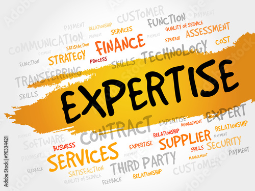 Expertise word cloud, business concept