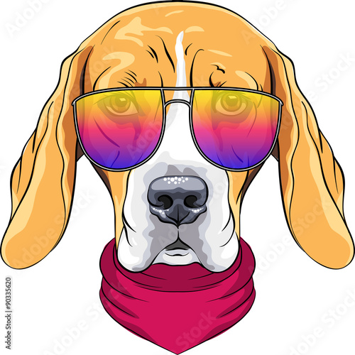 vector hipster serious dog Beagle in glasses