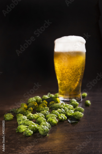 Green hops with a glass of fresh beer.