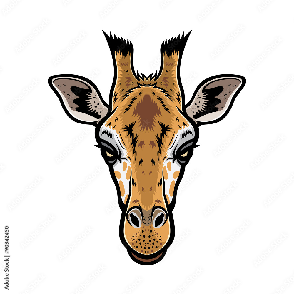 Fototapeta premium Giraffe Head