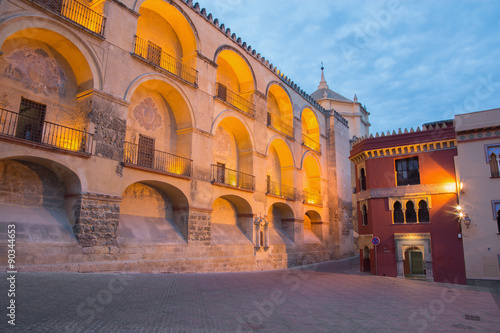 Cordoba - Cathedral east facade and Plaza del Triumfo at dusk. photo