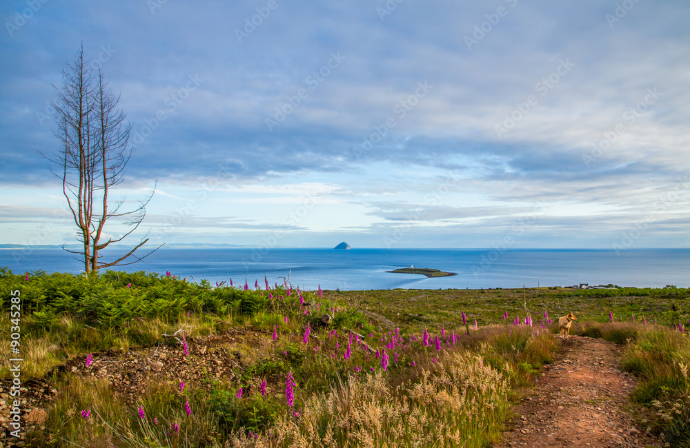 Mensch Alleine in der Natur auf Insel Arran Hebriden Schottland