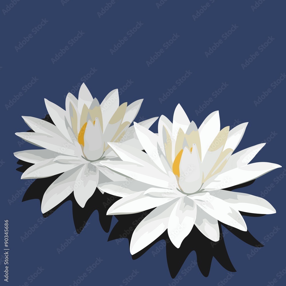 Lotus is isolated on blue background Lotus is isolated on blue background
