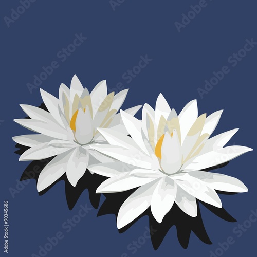 Lotus is isolated on blue background