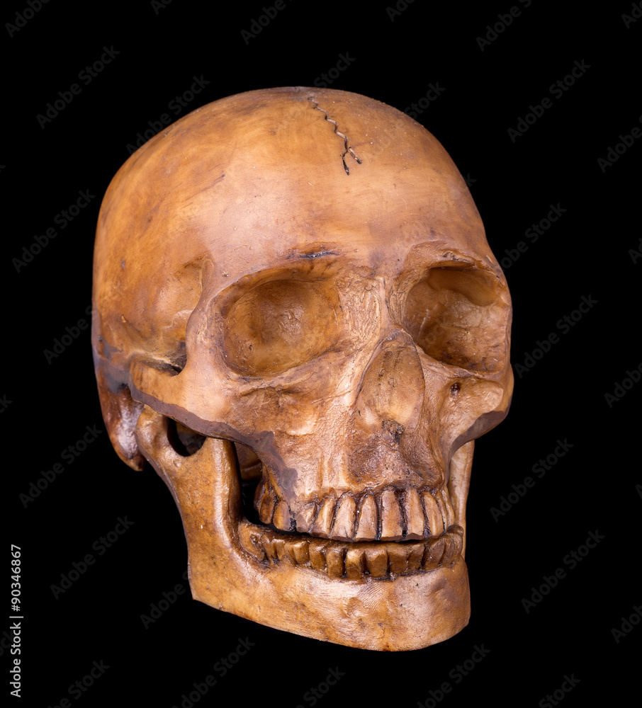 Obraz premium Skull Isolated on Black