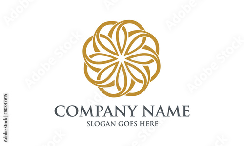 Elegant Abstract Circle Logo Image Vector