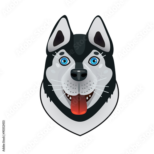 dog Husky friend/ Dog friend and helper in our life. Dog Husky blue expressive eyes and blue, frost-resistant and hardy working in teams.