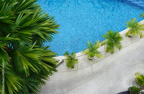 Top view of beautiful swimming pool with plants pot around