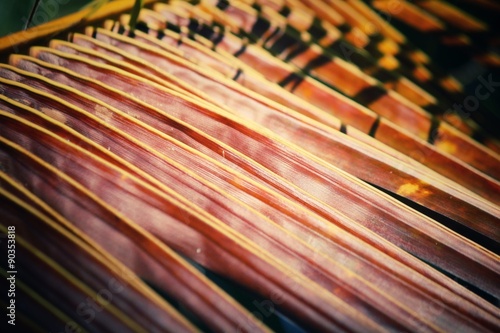 Coconut leaves