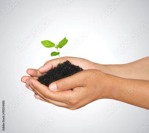 Woman hands holding green sprout with soil ,isolate white background