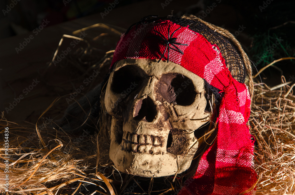 Halloween concept of scary skull head on the ground Halloween concept of scary skull head on the ground