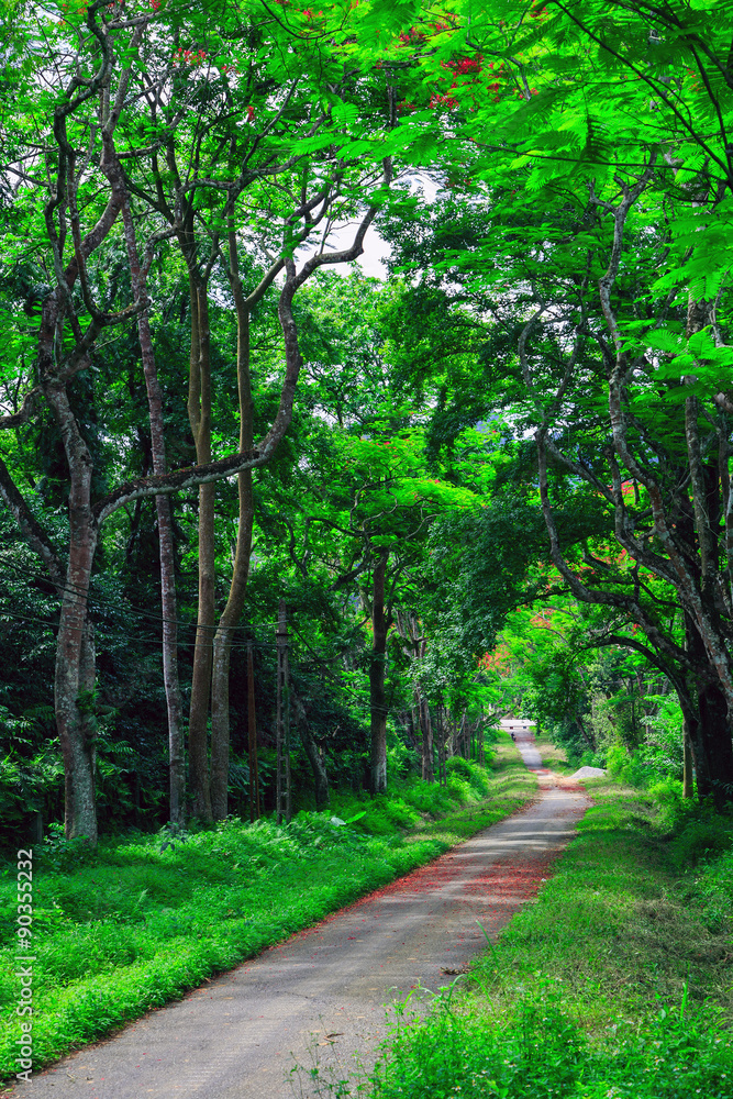 Naklejka premium Cuc Phuong National Park in Ninh Binh, Vietnam