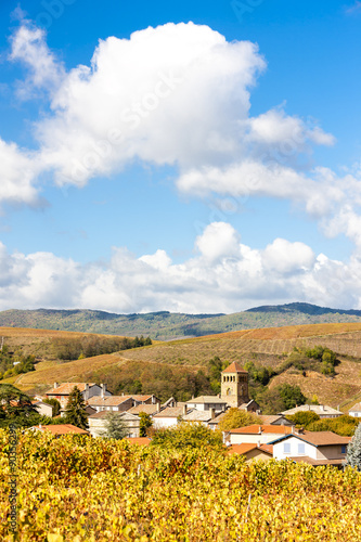 village Salles-Arbuissonnas-en-Beaujolais with vineyard, Rhone-A