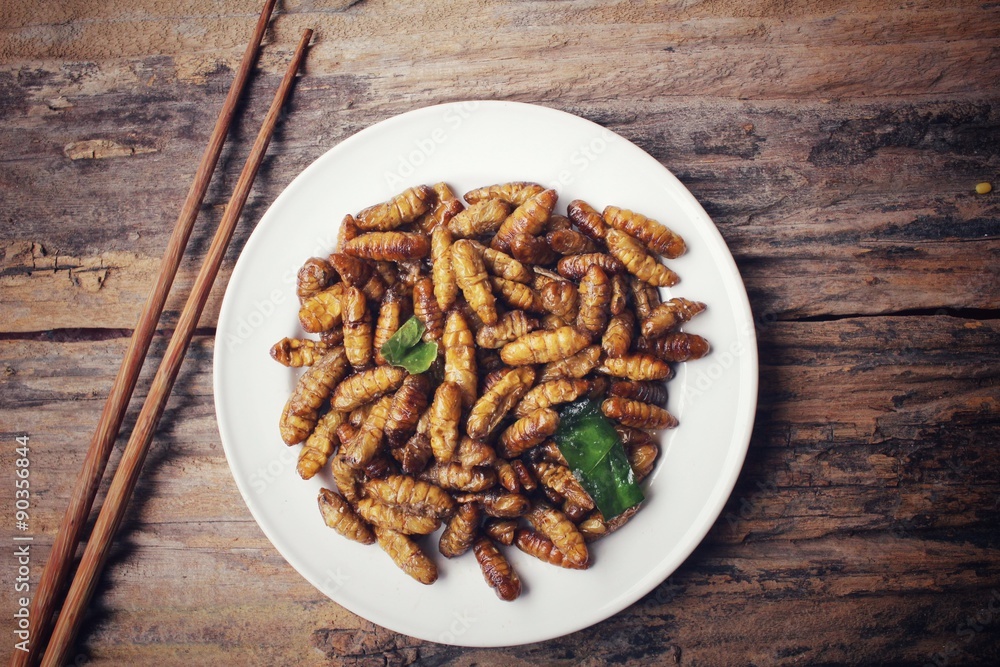 Silkworm pupae Silkworm pupae