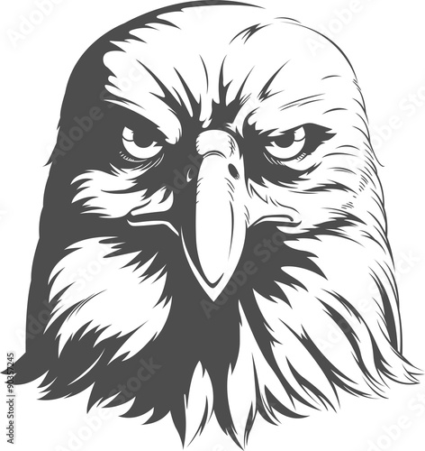 Eagle Silhouettes Vector - Front View