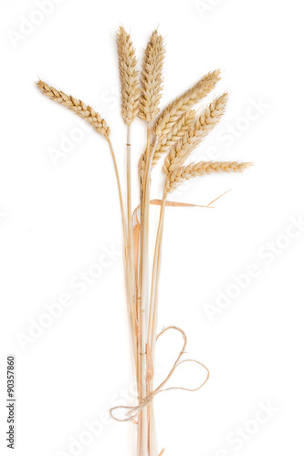 Bunch of wheat ears on a light background