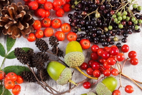 Autumn fruits of forest on rustic wooden background