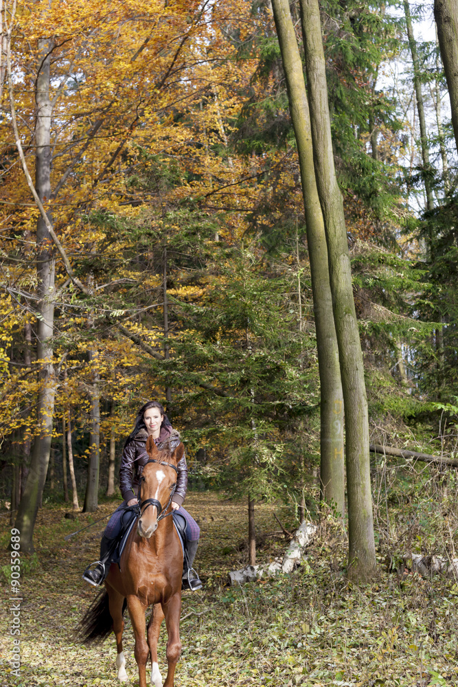 equestrian on horseback in autumnal nature equestrian on horseback in autumnal nature