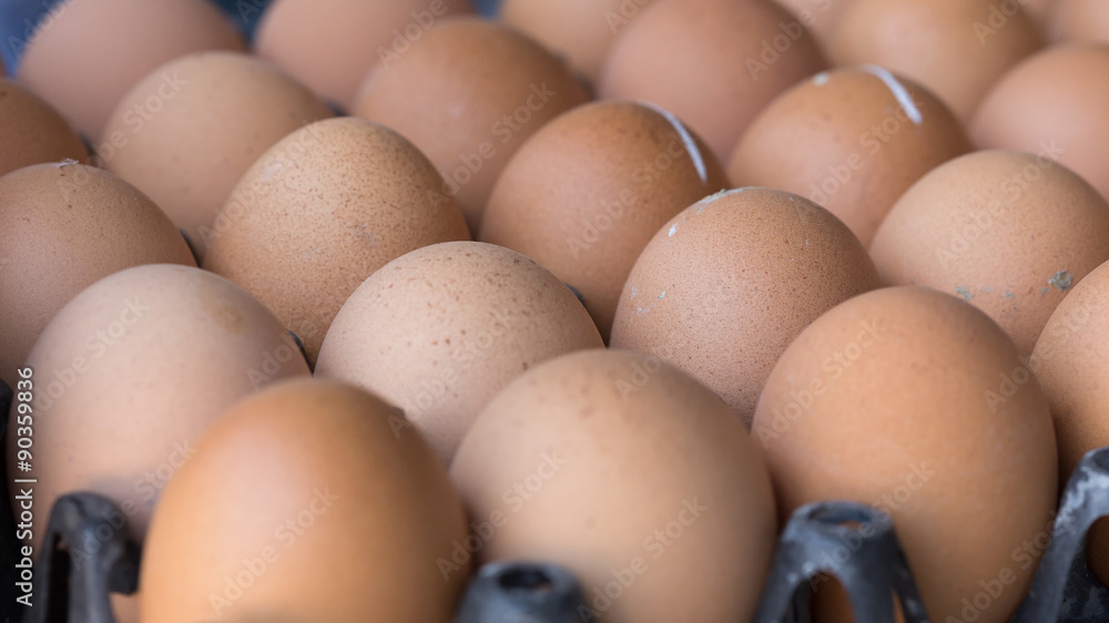 fresh organic eggs from chicken farm agriculture for sale fresh organic eggs from chicken farm agriculture for sale