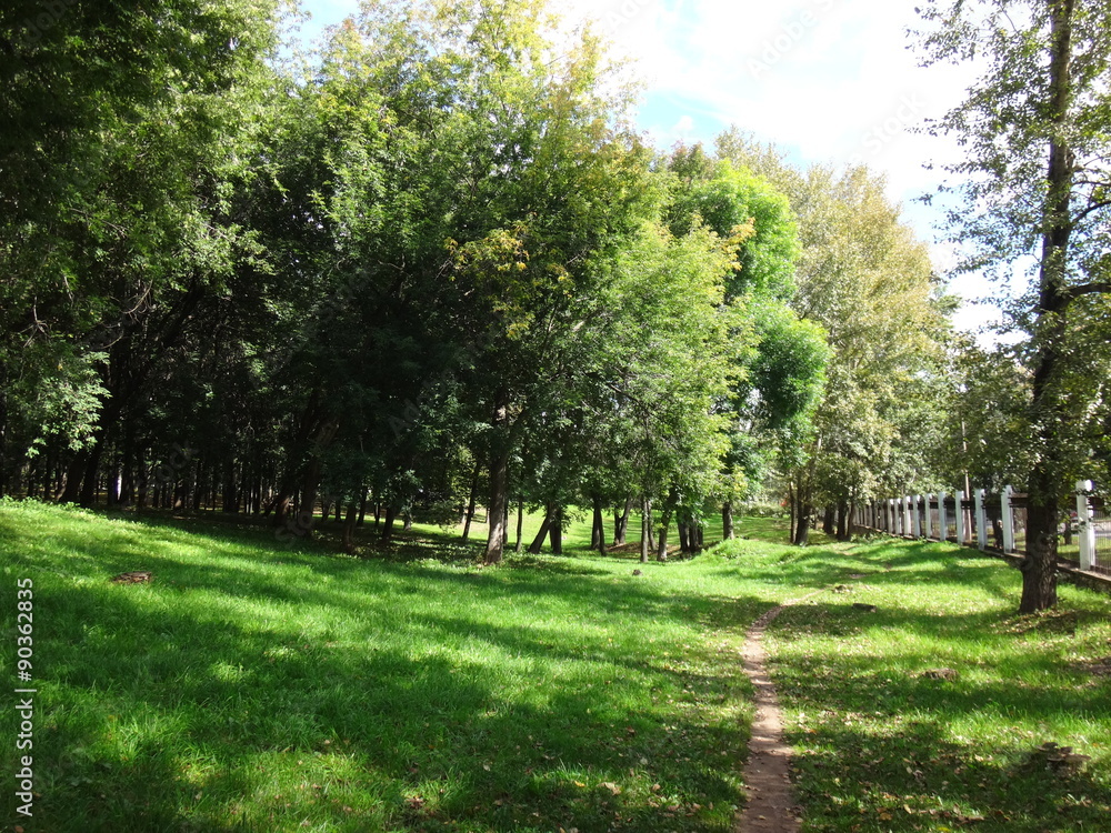 Obraz premium Городской парк с тропинкой, зелено-желтыми деревьями и опавшей листвой на зеленой траве