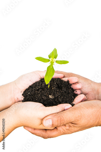 Two people holding a plant on isolated background