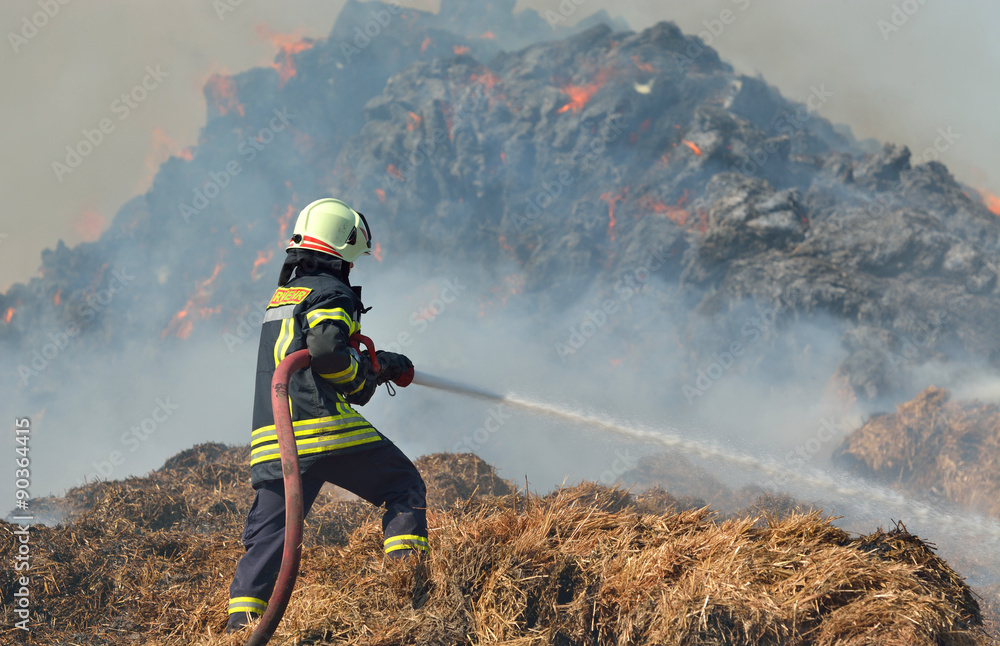 Fototapeta premium feuerwehreinsatz