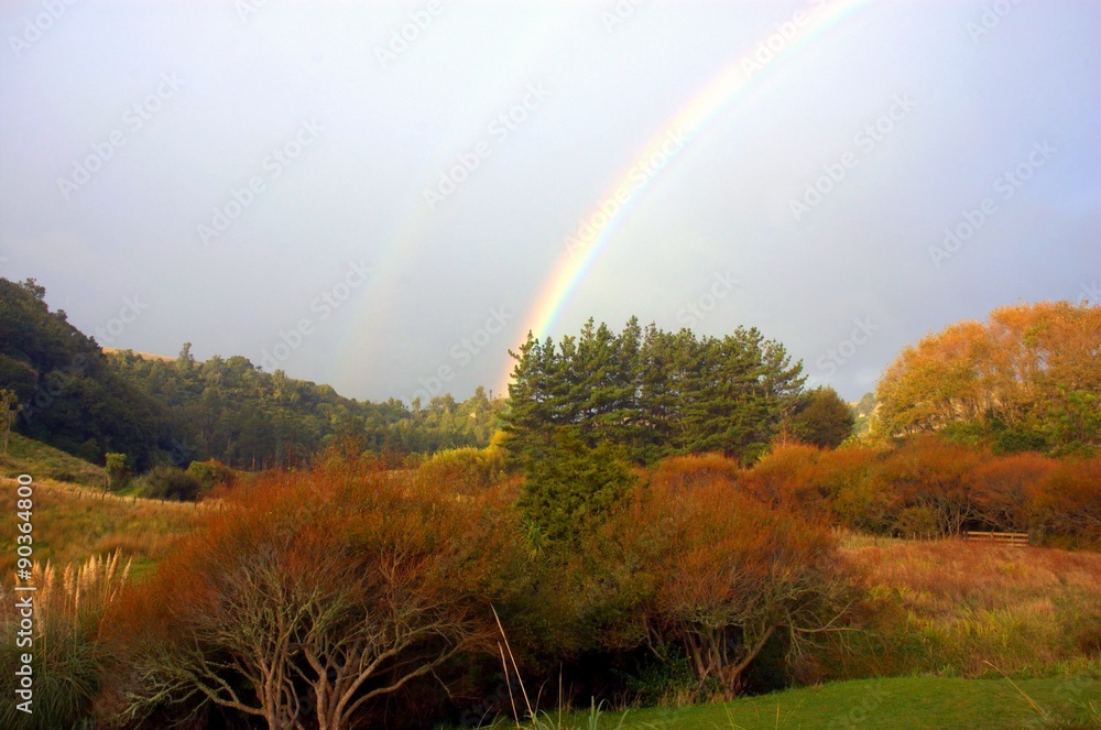 rainbow, golden autumn