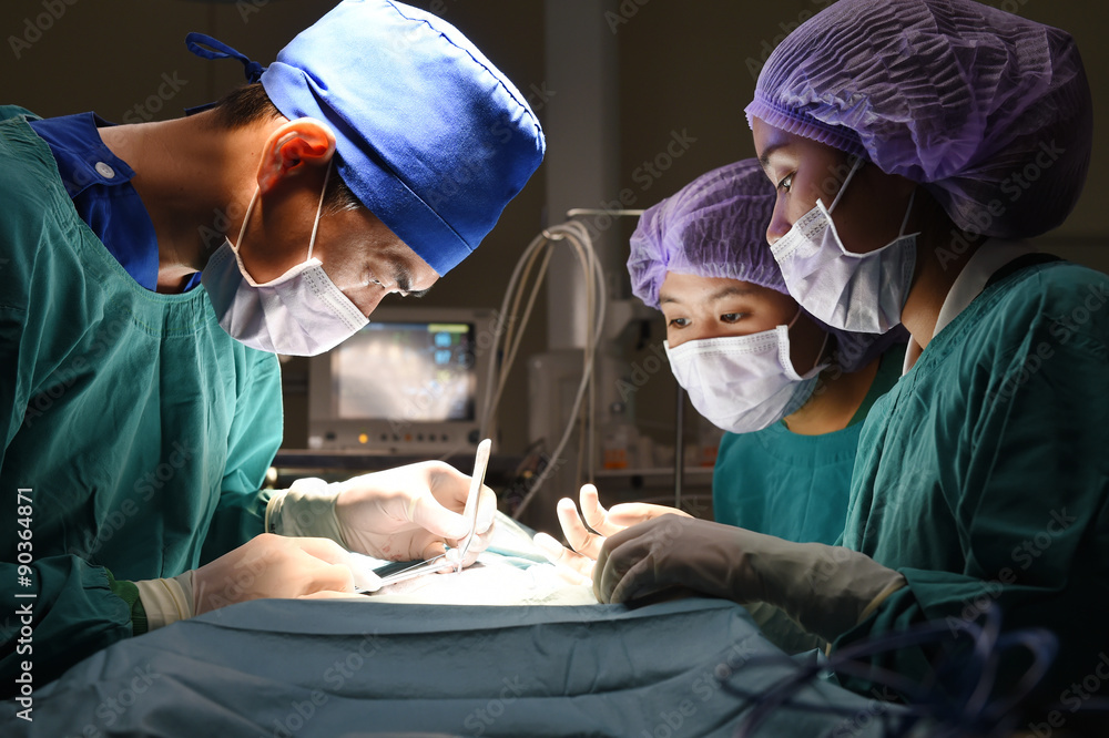 group of veterinarian surgery in operation room group of veterinarian surgery in operation room