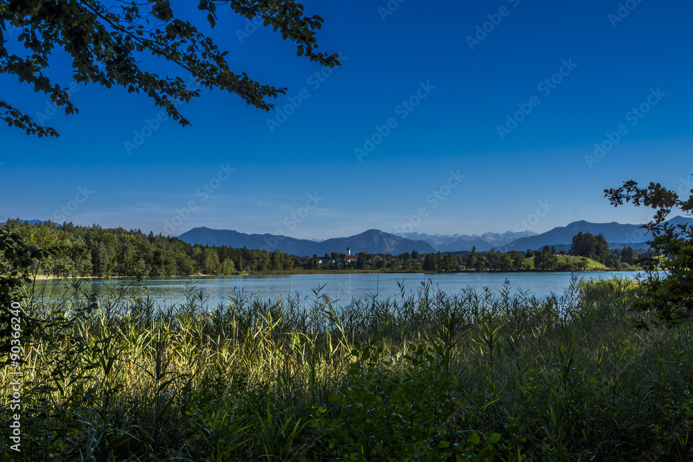 Sommer am Fohnsee bei Iffeldorf im bayerischen Alpenvorland Stock-Foto ...