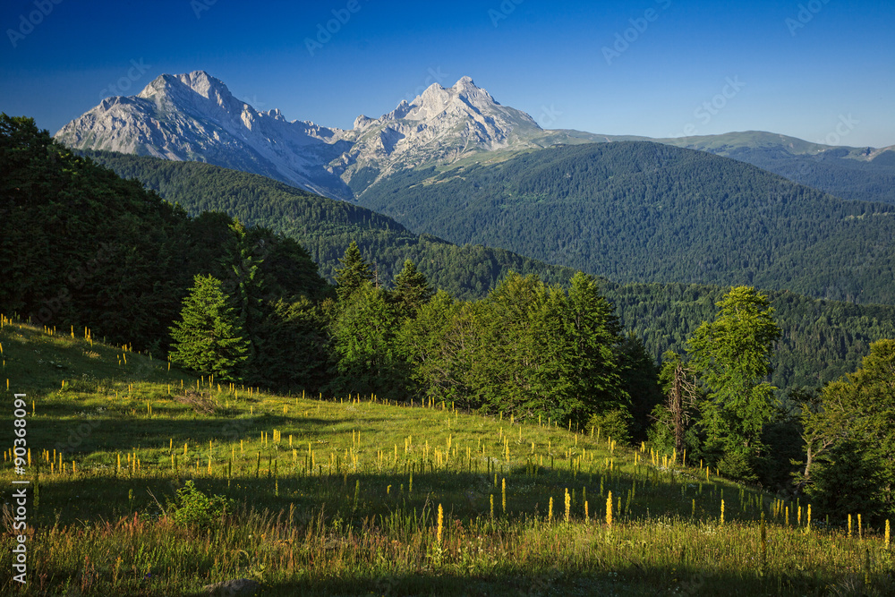 Serene View of Landscape in Komovi Mountains, Montenegro
