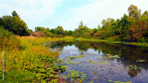 Quadro em tela Picturesque summer pond with water-lilies