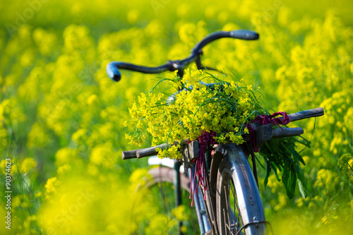 A bicycle in Wintercress fields. The tidal fields in this location with nice Wintercress can be used for making oil.
