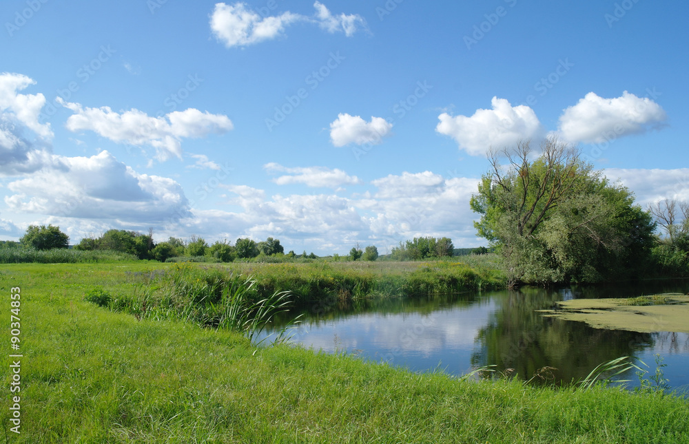 Fototapeta premium river, land with trees and cloudy sky