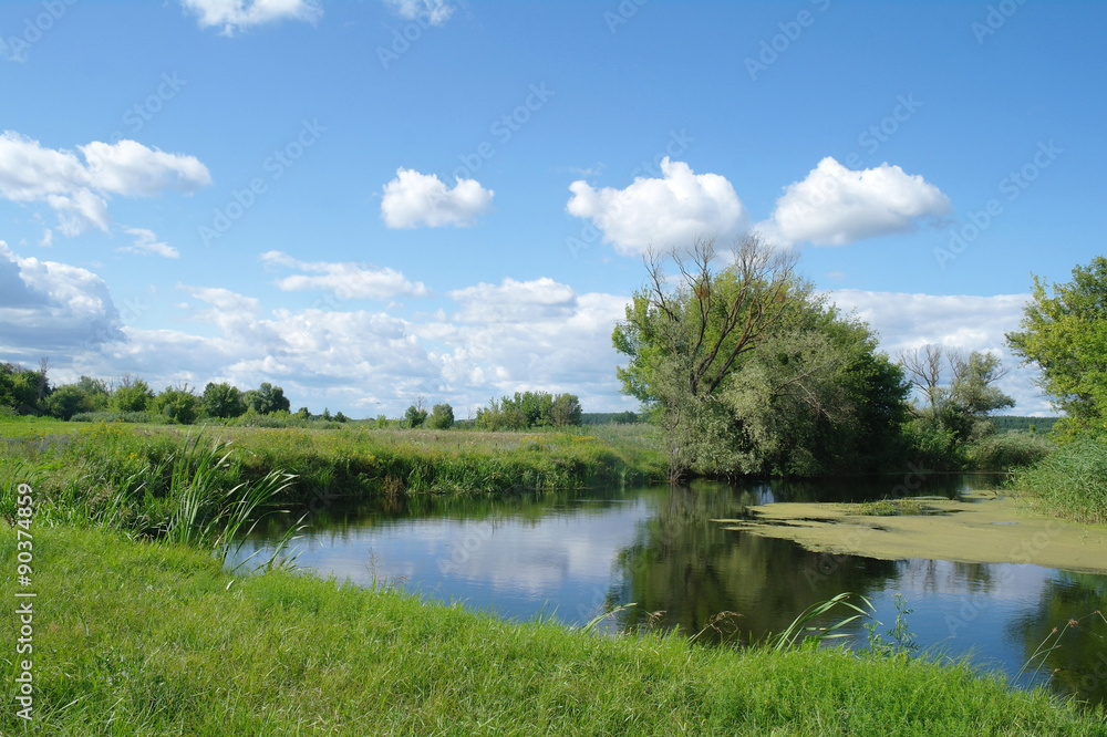 Obraz premium river, land with trees and cloudy sky