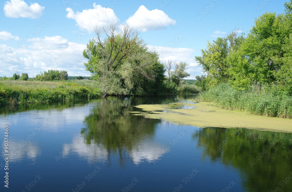 Fototapeta premium river, land with trees and cloudy sky