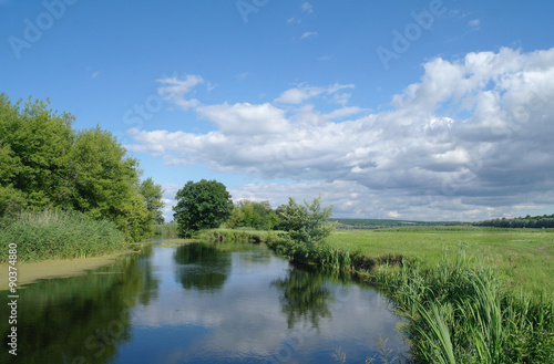 river  land with trees and cloudy sky