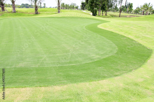 Golf courses green grass