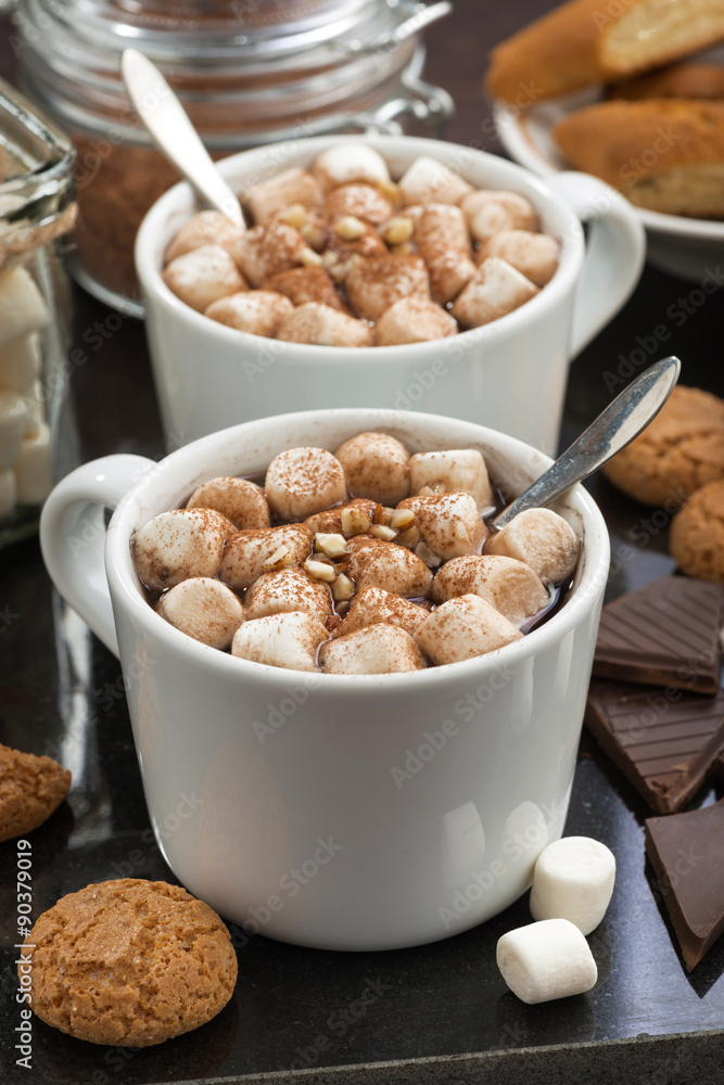 delicious cocoa with marshmallow and cookies, vertical delicious cocoa with marshmallow and cookies, vertical