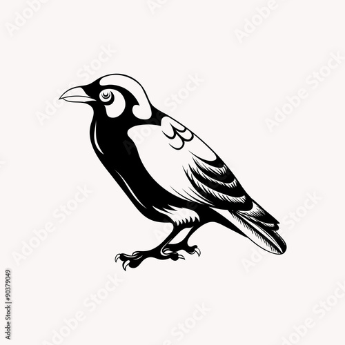 Black raven bird. Hand drawn doodle vector illustration.