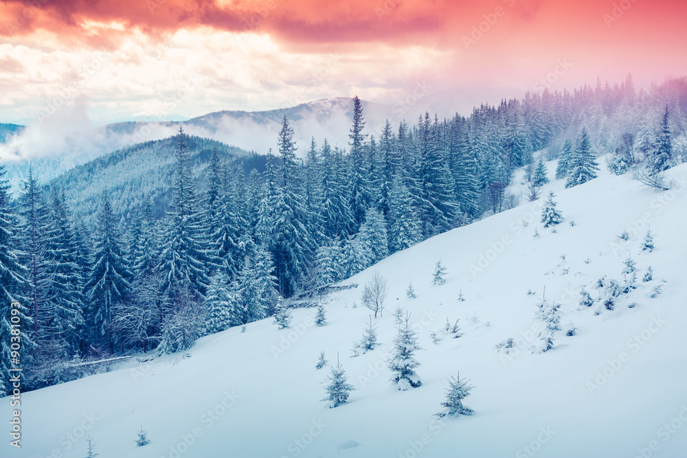 Beautiful winter sunrise in the Carpathian mountains