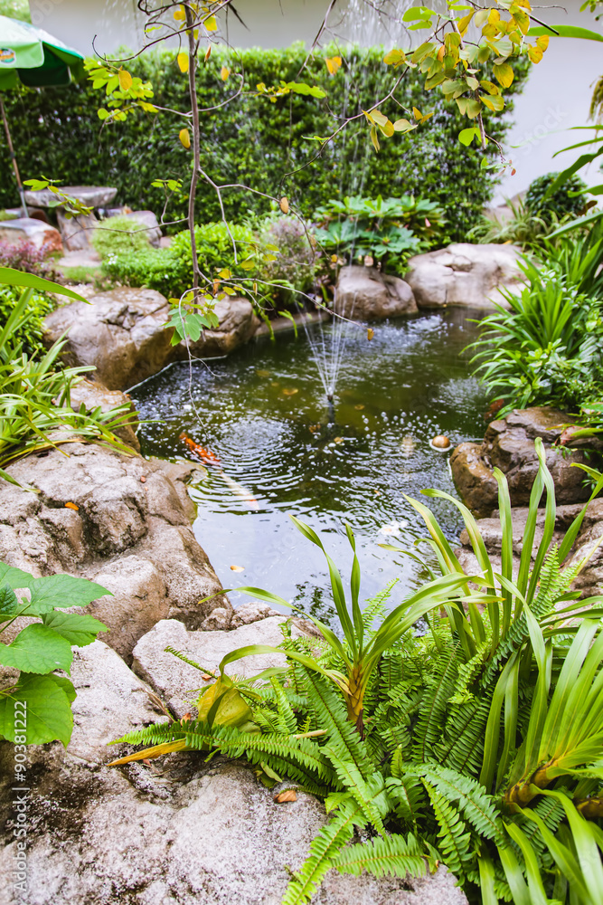 Koi fish in pond garden Koi fish in pond garden