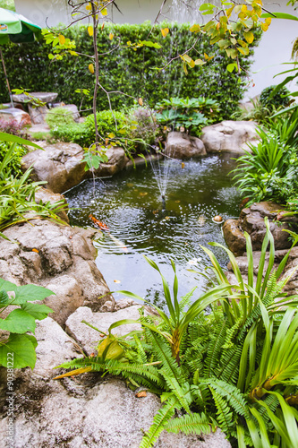 Koi fish in pond garden © eak8dda